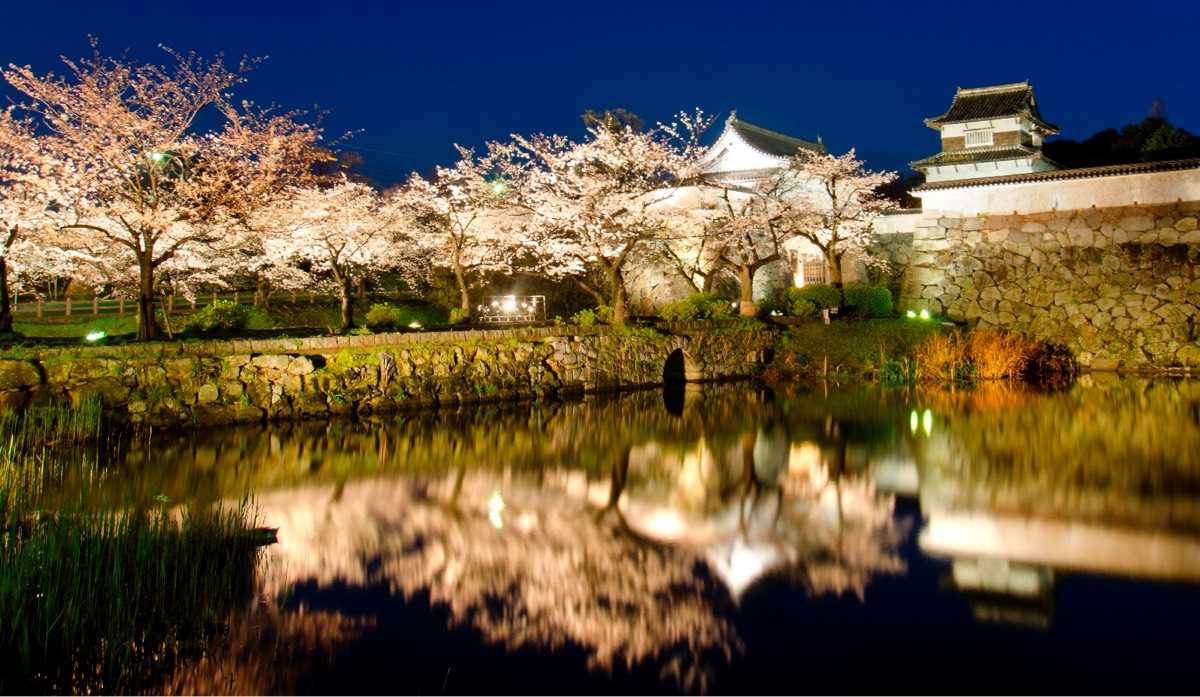 写真：福岡市